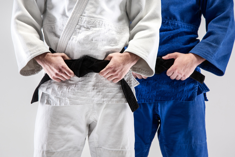Two black belt BJJ