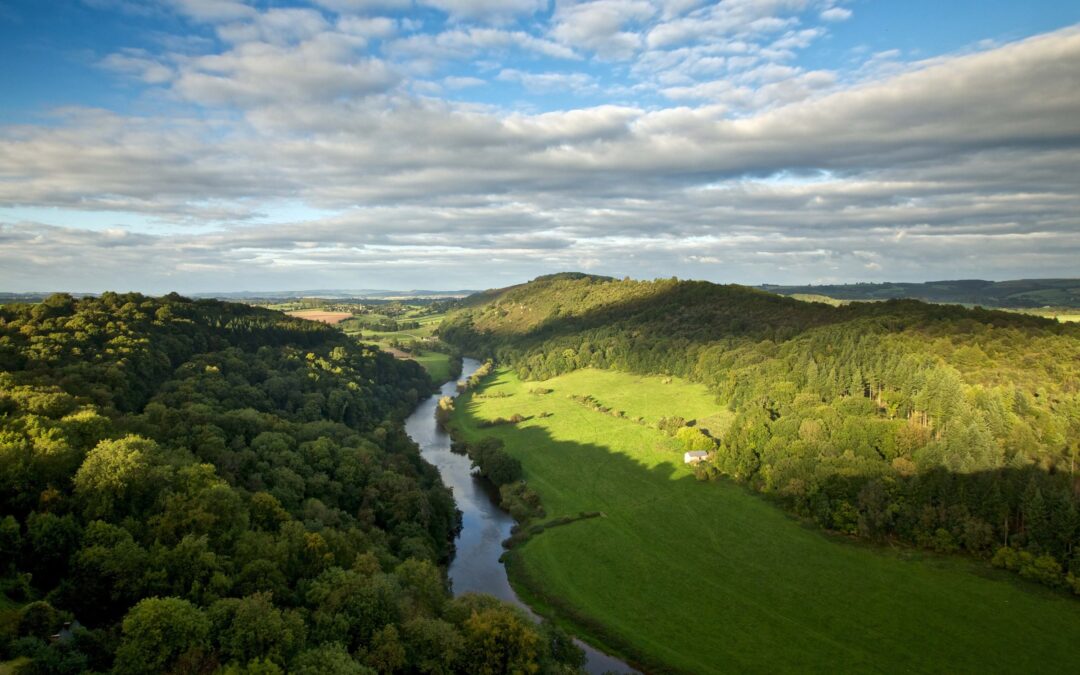Forest of Dean’s Martial Arts Scene: Where to Train in BJJ, Muay Thai, MMA & Kung Fu!